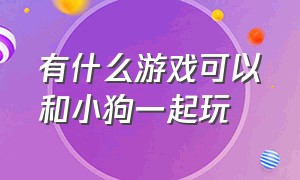 有什么游戏可以和小狗一起玩