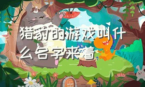 猎豹的游戏叫什么名字来着