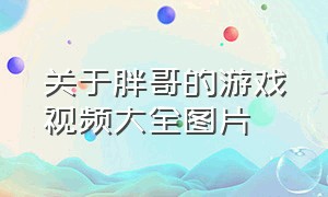 关于胖哥的游戏视频大全图片