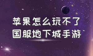 苹果怎么玩不了国服地下城手游