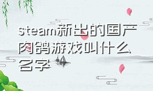 steam新出的国产肉鸽游戏叫什么名字