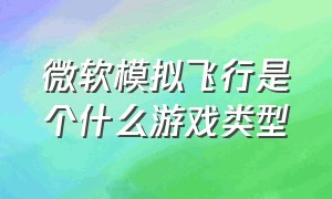 微软模拟飞行是个什么游戏类型