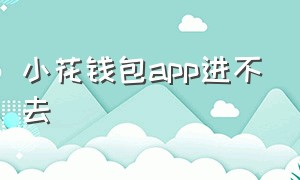 小花钱包app进不去