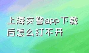 上海交警app下载后怎么打不开