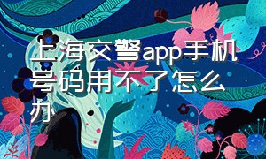 上海交警app手机号码用不了怎么办