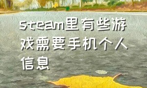 steam里有些游戏需要手机个人信息