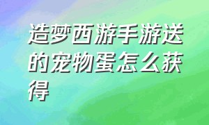 造梦西游手游送的宠物蛋怎么获得