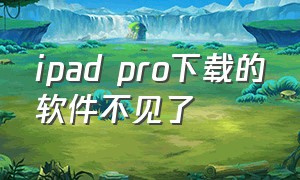 ipad pro下载的软件不见了