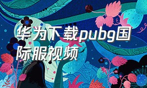 华为下载pubg国际服视频