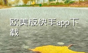 欧美版快手app下载