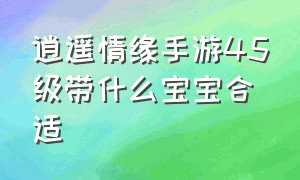 逍遥情缘手游45级带什么宝宝合适