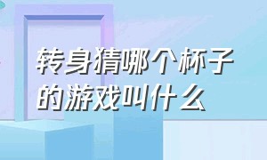 转身猜哪个杯子的游戏叫什么