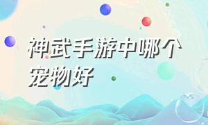 神武手游中哪个宠物好