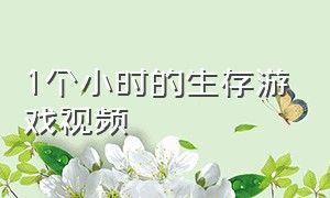 1个小时的生存游戏视频