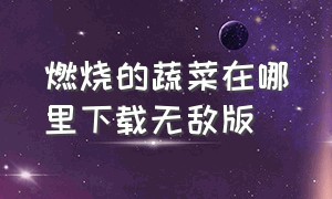 燃烧的蔬菜在哪里下载无敌版