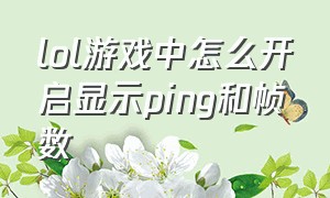 lol游戏中怎么开启显示ping和帧数