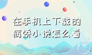 在手机上下载的病娇小说怎么看