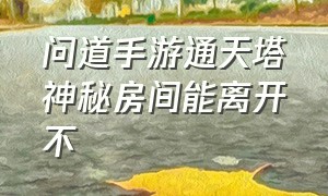 问道手游通天塔神秘房间能离开不