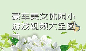 豪车美女休闲小游戏视频大全图片