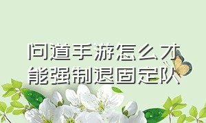 问道手游怎么才能强制退固定队