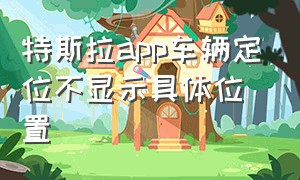 特斯拉app车辆定位不显示具体位置