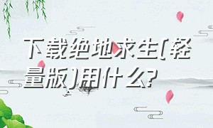 下载绝地求生(轻量版)用什么?