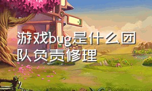 游戏bug是什么团队负责修理