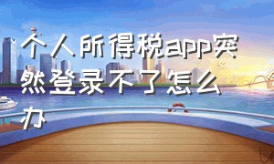 个人所得税app突然登录不了怎么办