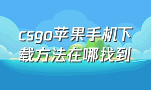 csgo苹果手机下载方法在哪找到