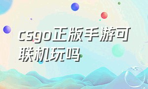 csgo正版手游可联机玩吗