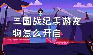 三国战纪手游宠物怎么开启