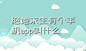 绝地求生有个手机app叫什么