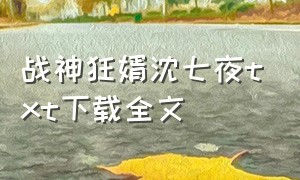 战神狂婿沈七夜txt下载全文