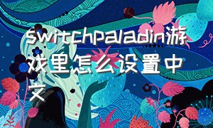 switchpaladin游戏里怎么设置中文