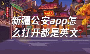 新疆公安app怎么打开都是英文