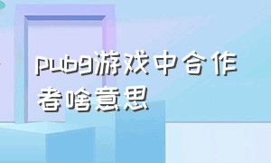 pubg游戏中合作者啥意思