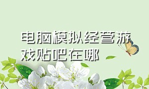 电脑模拟经营游戏贴吧在哪