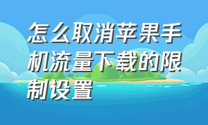 怎么取消苹果手机流量下载的限制设置