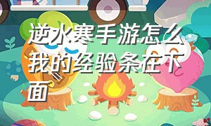 逆水寒手游怎么我的经验条在下面