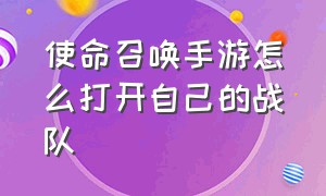 使命召唤手游怎么打开自己的战队