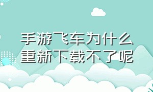 手游飞车为什么重新下载不了呢