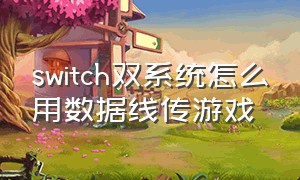 switch双系统怎么用数据线传游戏