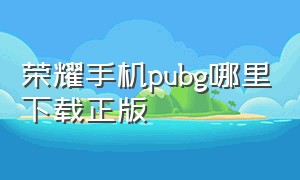 荣耀手机pubg哪里下载正版