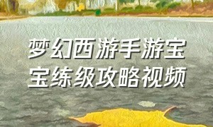 梦幻西游手游宝宝练级攻略视频