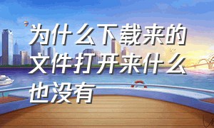 为什么下载来的文件打开来什么也没有