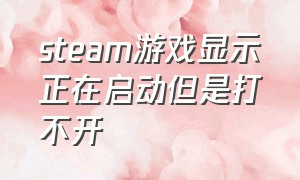 steam游戏显示正在启动但是打不开