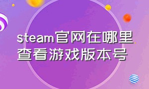 steam官网在哪里查看游戏版本号