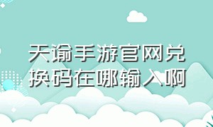 天谕手游官网兑换码在哪输入啊