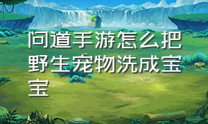 问道手游怎么把野生宠物洗成宝宝