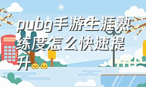 pubg手游生涯熟练度怎么快速提升